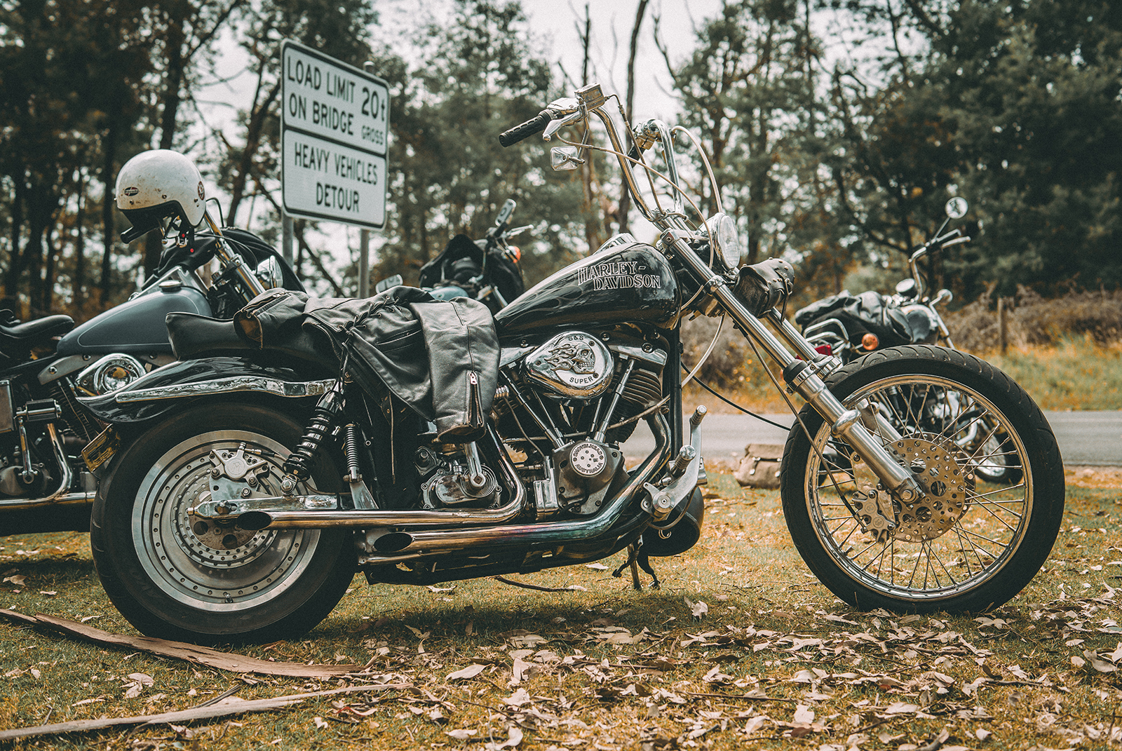 harley davidson shovelhead