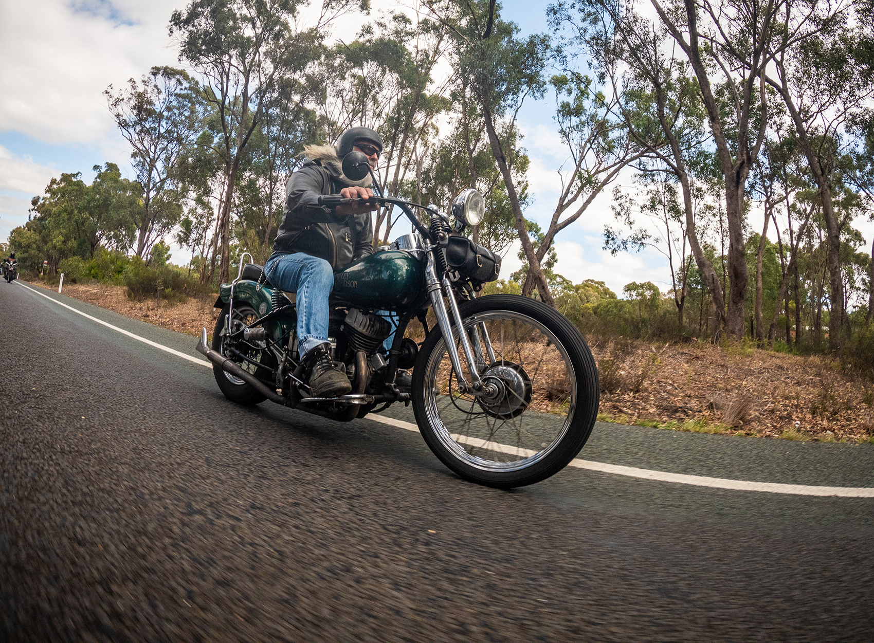 harley davidson shovelhead