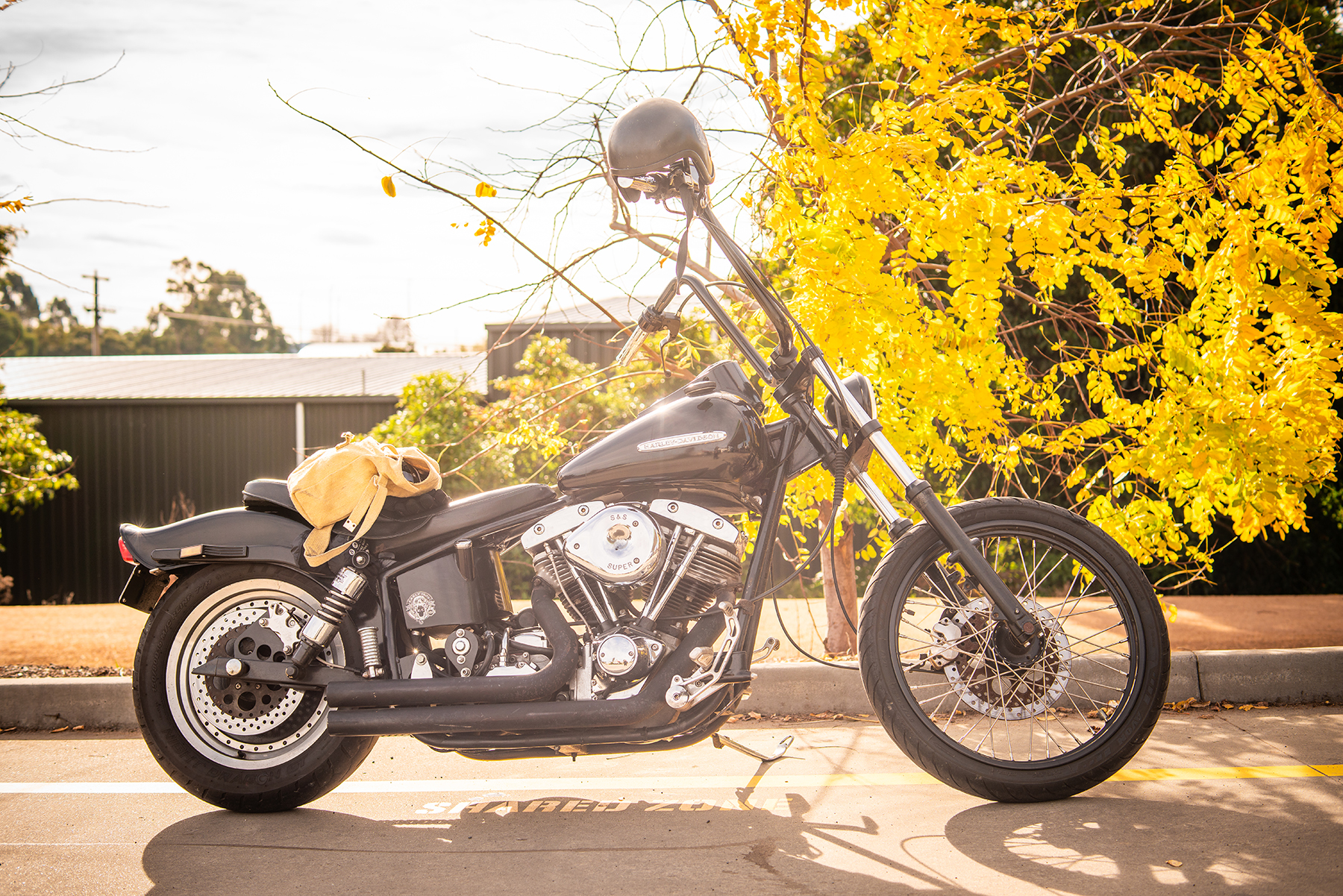 harley davidson shovelhead